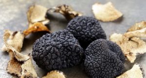 Трюфелът – храната на боговете